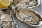 ЖИВАЯ РЫБА И МОРЕПРОДУКТЫ